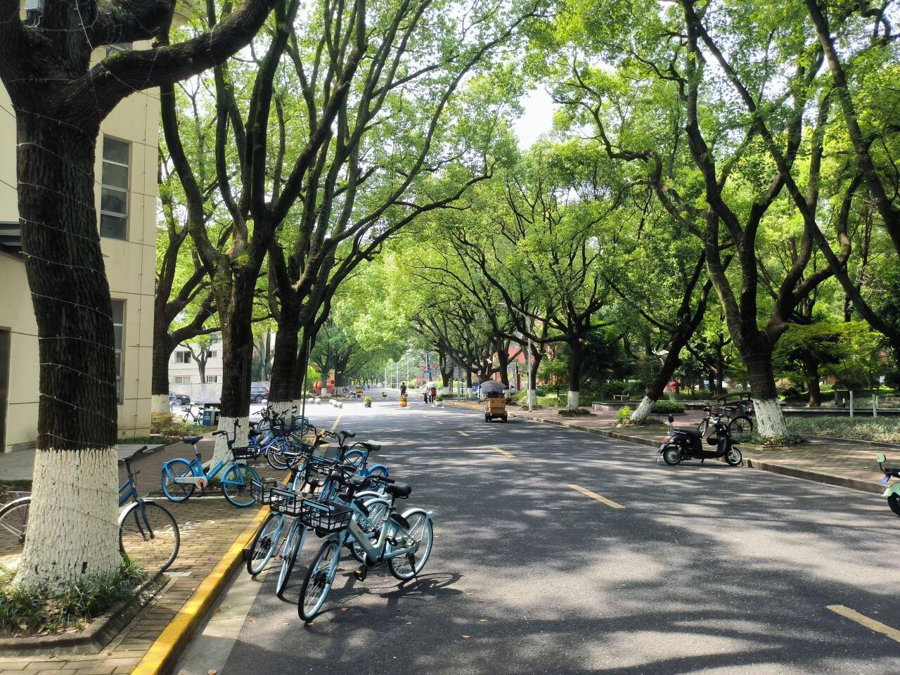 image-20251231153619448