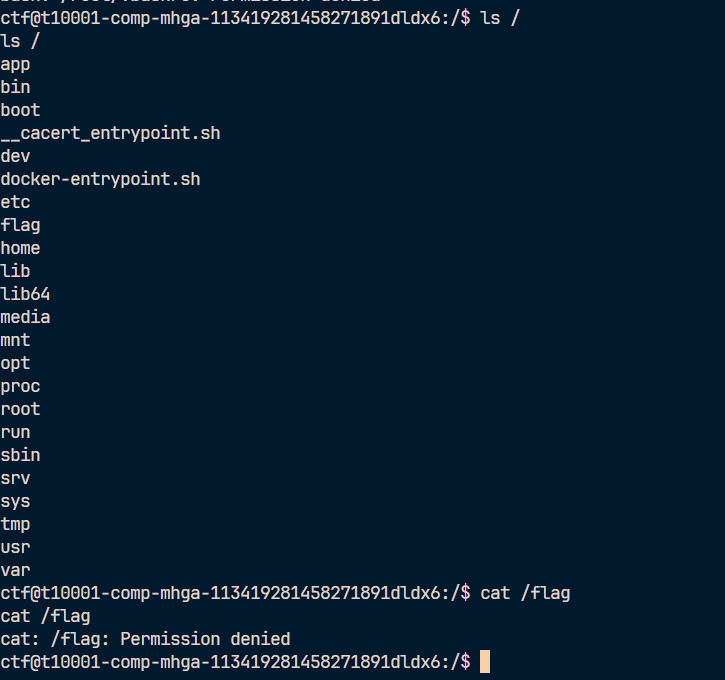 image-20260212003128833